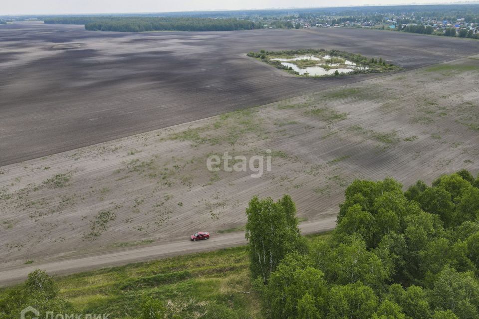 земля г Тюмень Тюмень городской округ, Загородный квартал Береза Парк. Квартал у озера фото 8