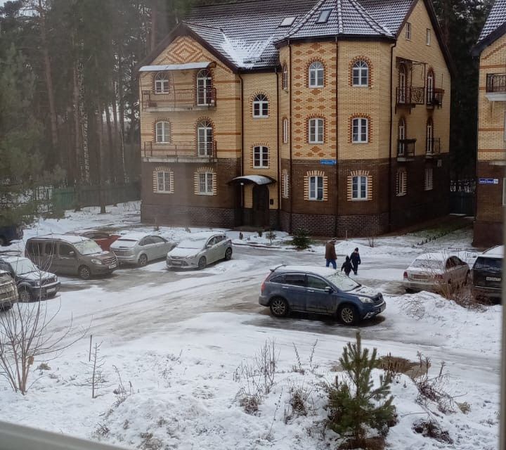 квартира г Балашиха д Черное ул Журавлиная 68 Балашиха городской округ фото 10