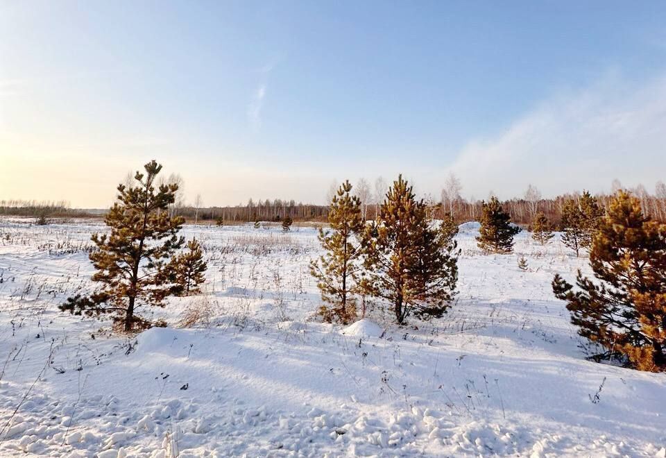 земля р-н Нижнетавдинский д Штакульская Тюмень фото 10