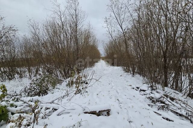 Тюмень городской округ, территория СОСН Чайка, Садовая улица фото