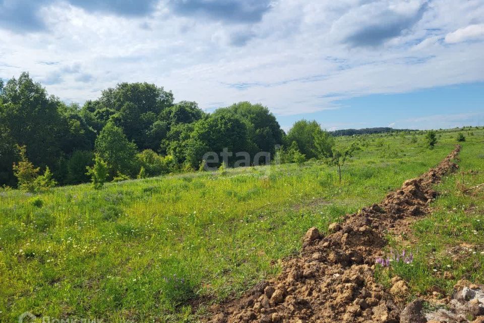 земля р-н Курский фото 2