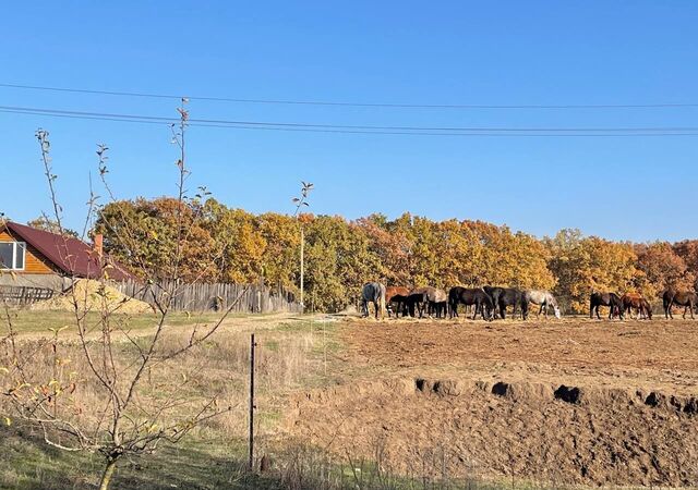 ст-ца Саратовская ул Бакинская фото