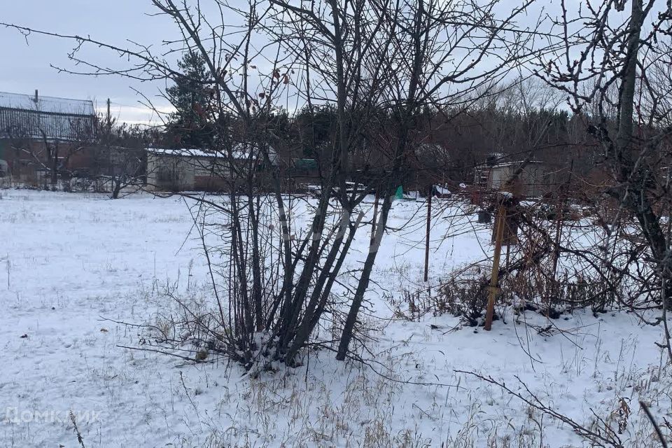 земля городской округ Воронеж, СНТ Дружба Семилукские выселки, 910 фото 3