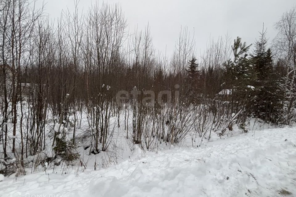 земля г Сыктывкар Сыктывкар городской округ, СНТ Човские зори фото 2