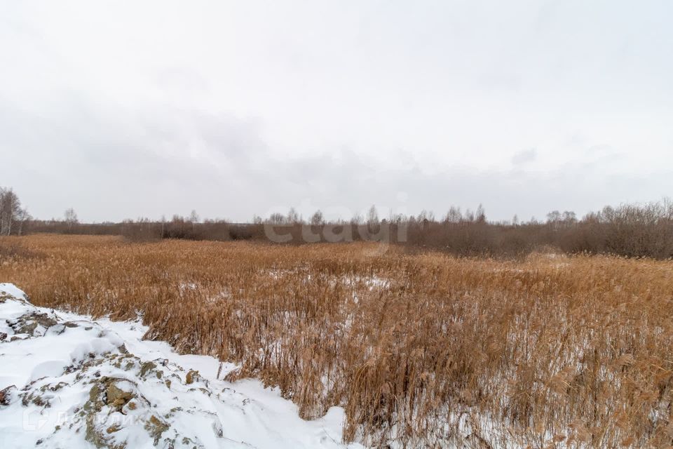 земля г Тюмень Тюмень городской округ, СНТ Березняки фото 4