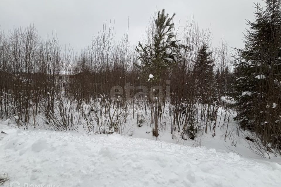 земля г Сыктывкар Сыктывкар городской округ, СНТ Човские зори фото 8