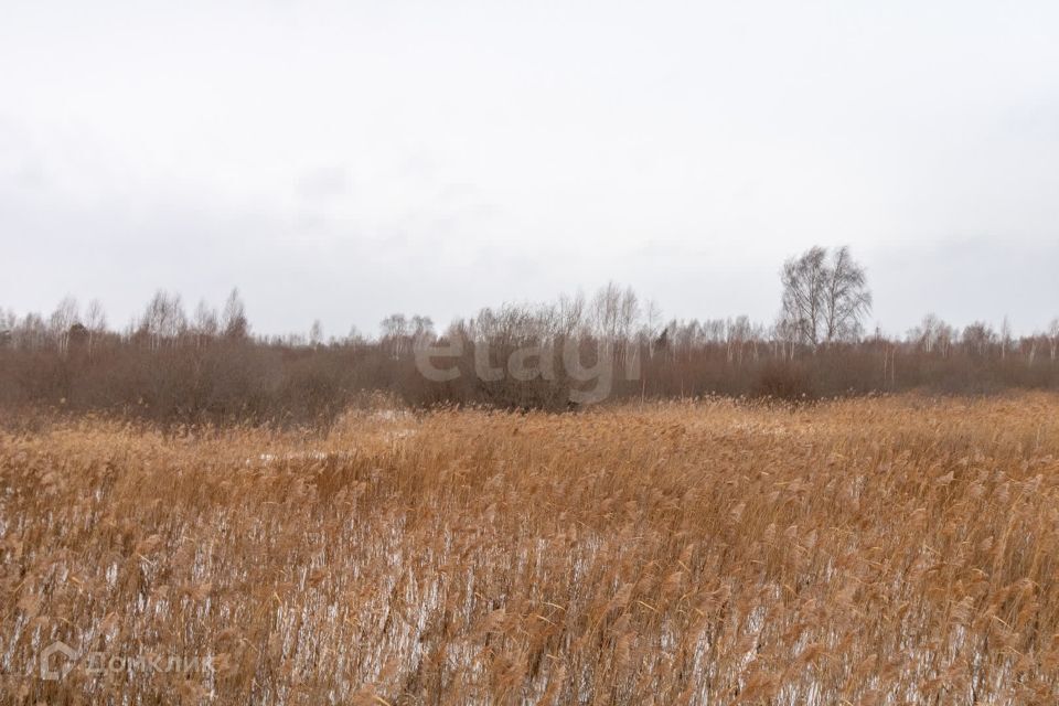 земля г Тюмень сквер Петра Потапова Тюмень городской округ фото 9