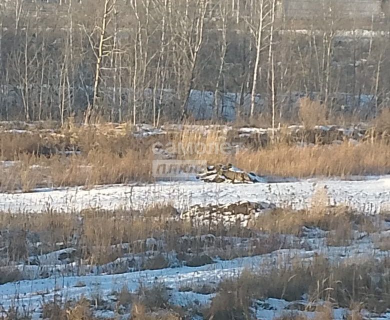 земля г Челябинск р-н Советский Челябинский городской округ, Советский фото 7