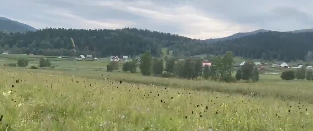 земля р-н Чемальский п Верх-Анос Горно-Алтайск фото 4