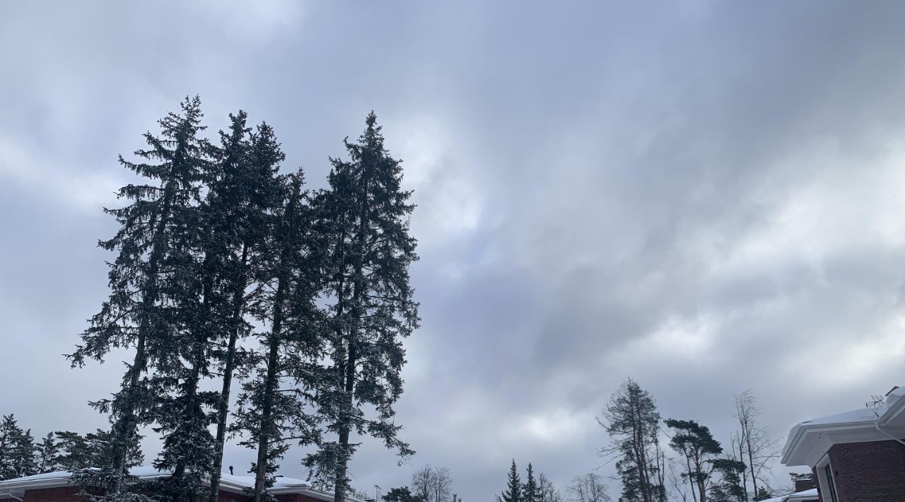 дом городской округ Истра г Дедовск Нахабино, Серебряная Роща кп фото 29