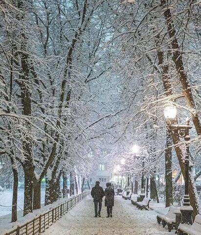 пр-кт Балаклавский 20к/3 фото