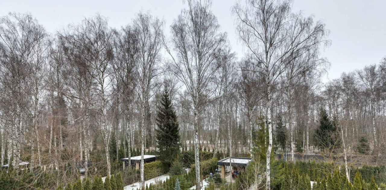 дом городской округ Истра д Писково Нахабино, ул. Парковая фото 14