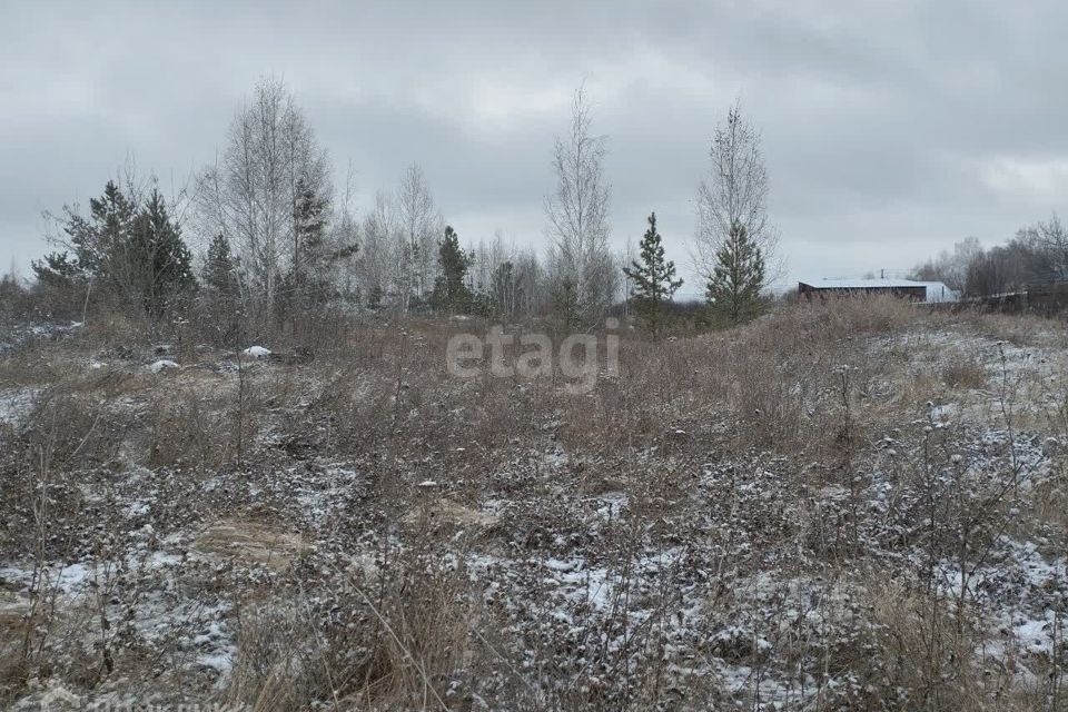 земля р-н Пластовский г Пласт ул Белорецкая фото 2