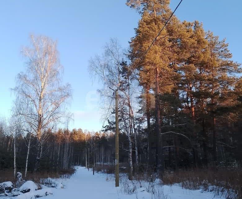 земля г Екатеринбург Екатеринбург городской округ, Чкаловский фото 1