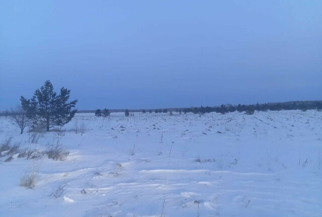 земля р-н Первомайский с Фирсово р-н мкр Полесье фото