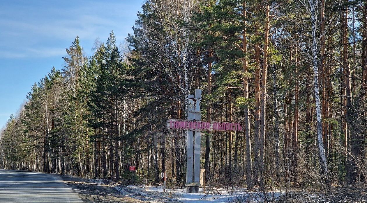 земля р-н Слободо-Туринский д Мельничная ул Мельничная Усть-Ницинское с пос фото 9