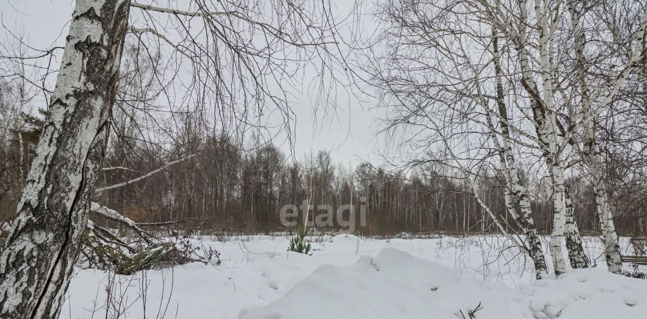 земля р-н Тюменский рп Боровский снт Луговое фото 7