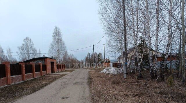 земля д Нащёково ул Агрогородок Шегарское с/пос фото