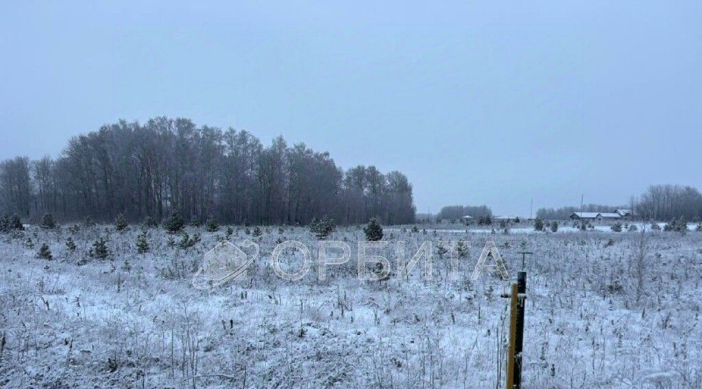 земля р-н Тюменский Новокаменский кп, ул. Васнецова фото 2