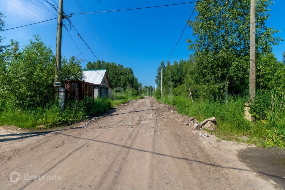 земля р-н Нижнетавдинский ДНТ Сочинское фото 6