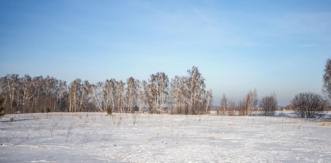 земля р-н Искитимский с Морозово ул Центральная 2 фото 9