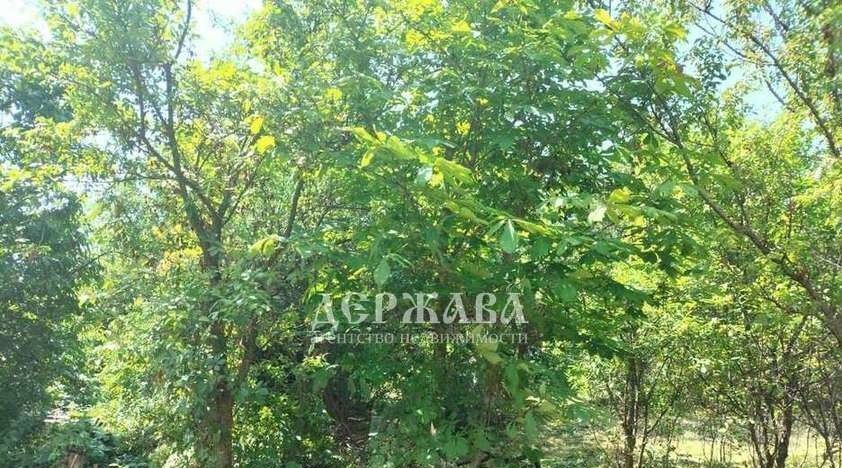 дом г Старый Оскол снт Лесная Поляна ул Центральная фото 7