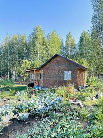 дом ул Березовая Репьёвский сельсовет, Тогучинский район фото