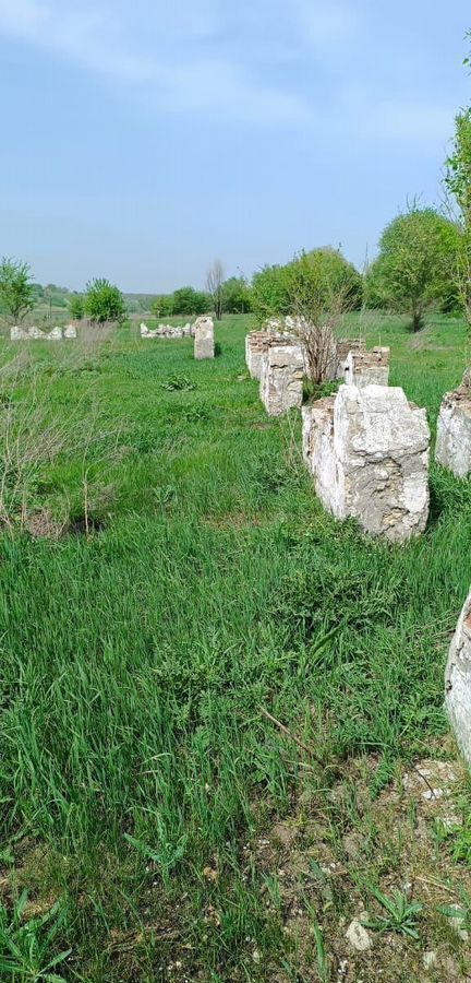 производственные, складские р-н Неклиновский с Большая Неклиновка пер Памятный 9 Большенеклиновское сельское поселение, Покровское фото 3