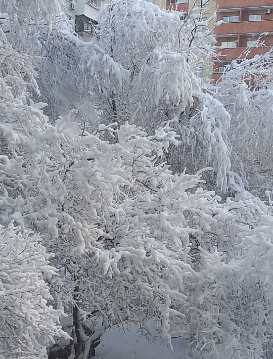 комната г Новочеркасск ул Чехова 2б фото 19