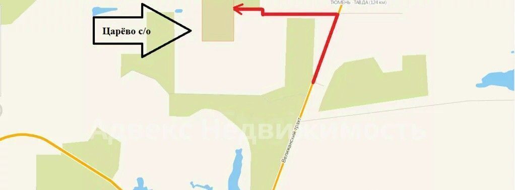 земля г Тюмень р-н Центральный снт Царево ул Журавлиная фото 1