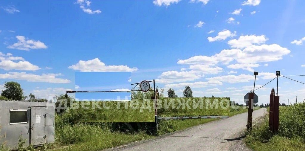 земля г Тюмень р-н Центральный снт Царево ул Журавлиная фото 5