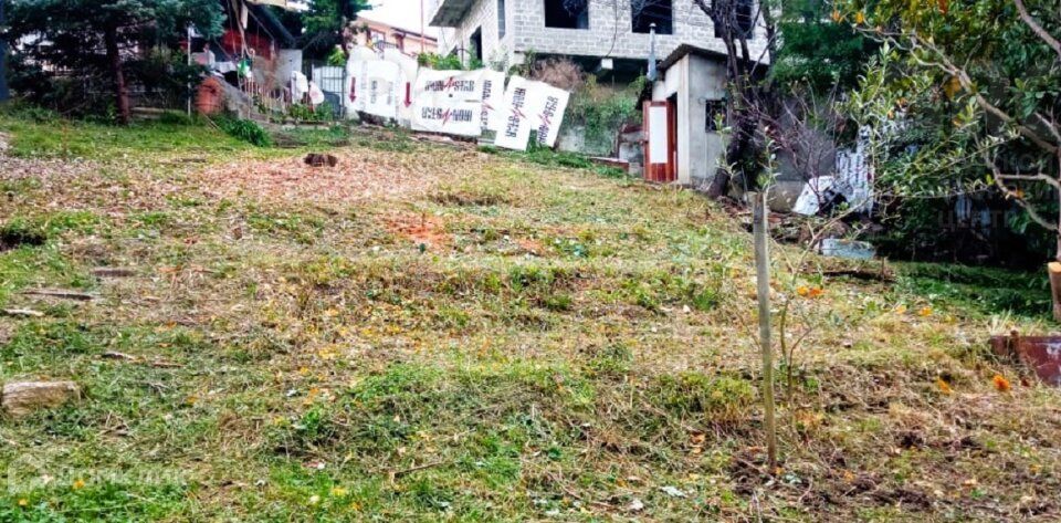 земля городской округ Сочи, садоводческое товарищество Клён, Теневой переулок фото 5