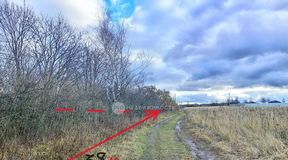 земля г Рязань р-н Железнодорожный Планета СТ фото 2