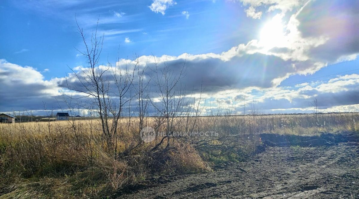 земля г Рязань р-н Железнодорожный Планета СТ фото 7