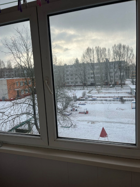 квартира г Брянск рп Радица-Крыловка Бежицкий район ул Орловская 8 центр Бежицы фото 2