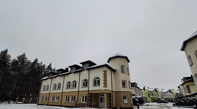 р-н Октябрьский Ладога тер., ул. Сосновая, 55 фото