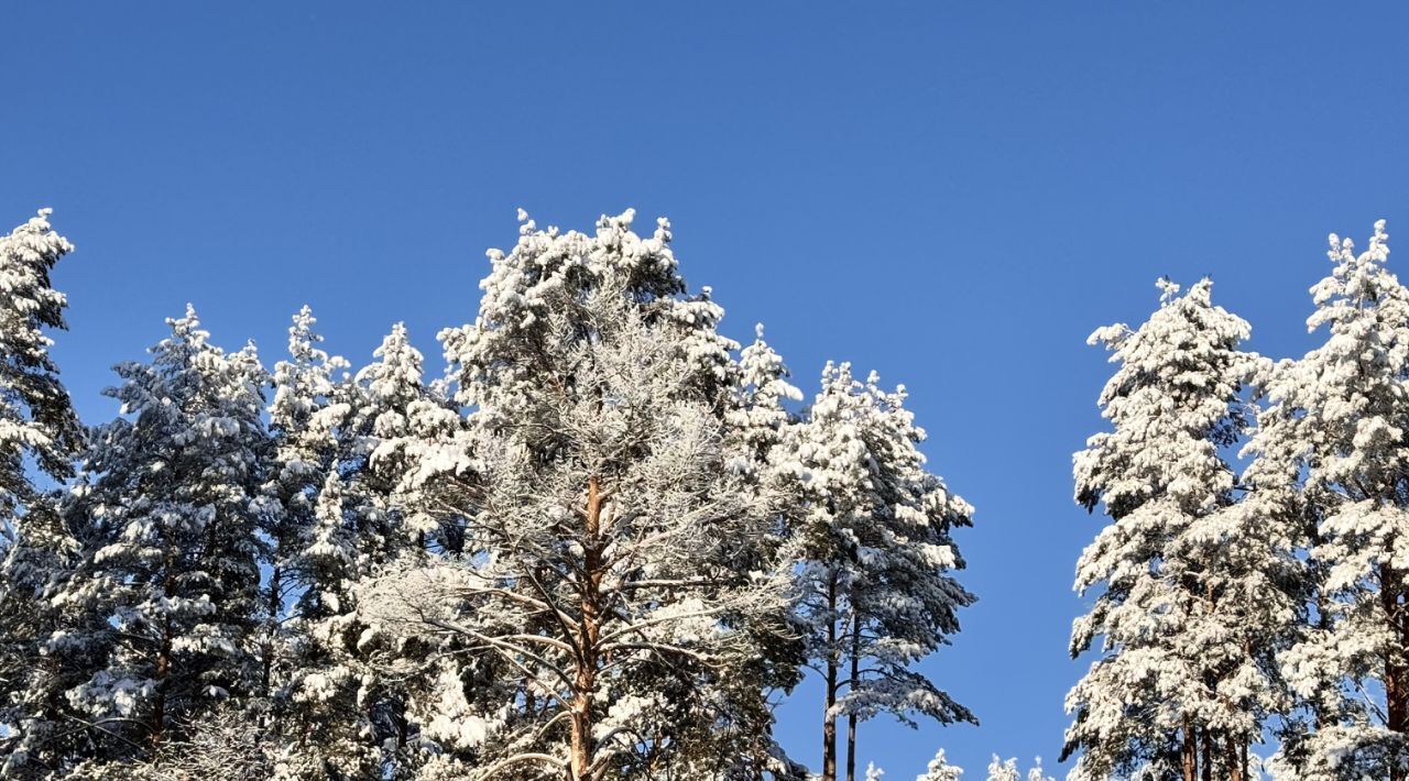 дом р-н Гатчинский Вырица городской поселок, просп. Урицкого, 23 фото 6