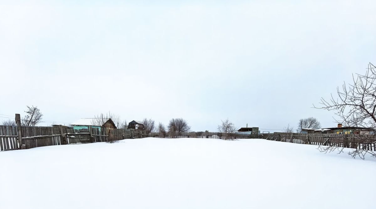 земля г Омск р-н Советский снт Березовая Роща 164 фото 3