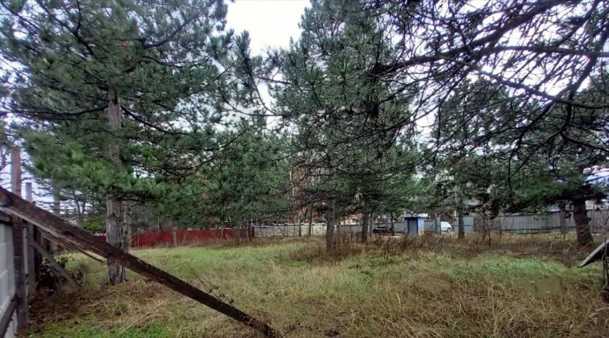 земля г Железноводск п Иноземцево ул Советская фото 6