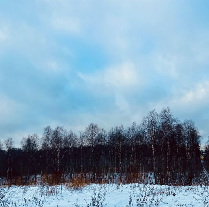 земля р-н Кировский п Михайловский Мгинское городское поселение фото 3