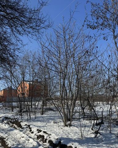 х Большой Лог ул Зеленая 4 Большелогское сельское поселение фото