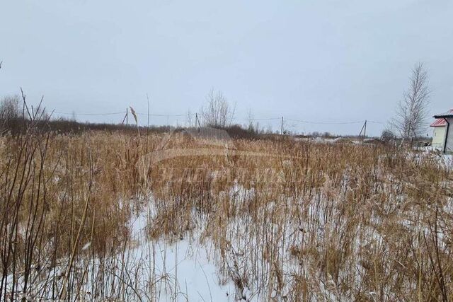 Тюмень городской округ, ДНТ Берёзка-3 фото