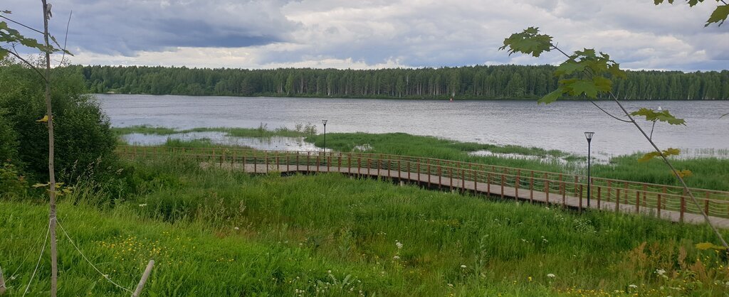 земля р-н Лодейнопольский г Лодейное Поле фото 10