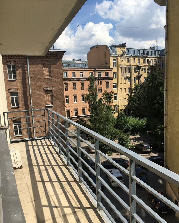 квартира г Санкт-Петербург метро Горьковская пер Зоологический 1/3 фото 3