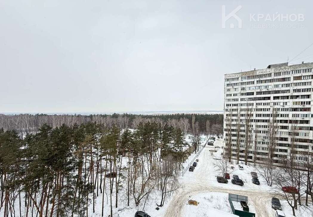 квартира г Воронеж р-н Советский ул Южно-Моравская 17 фото 15