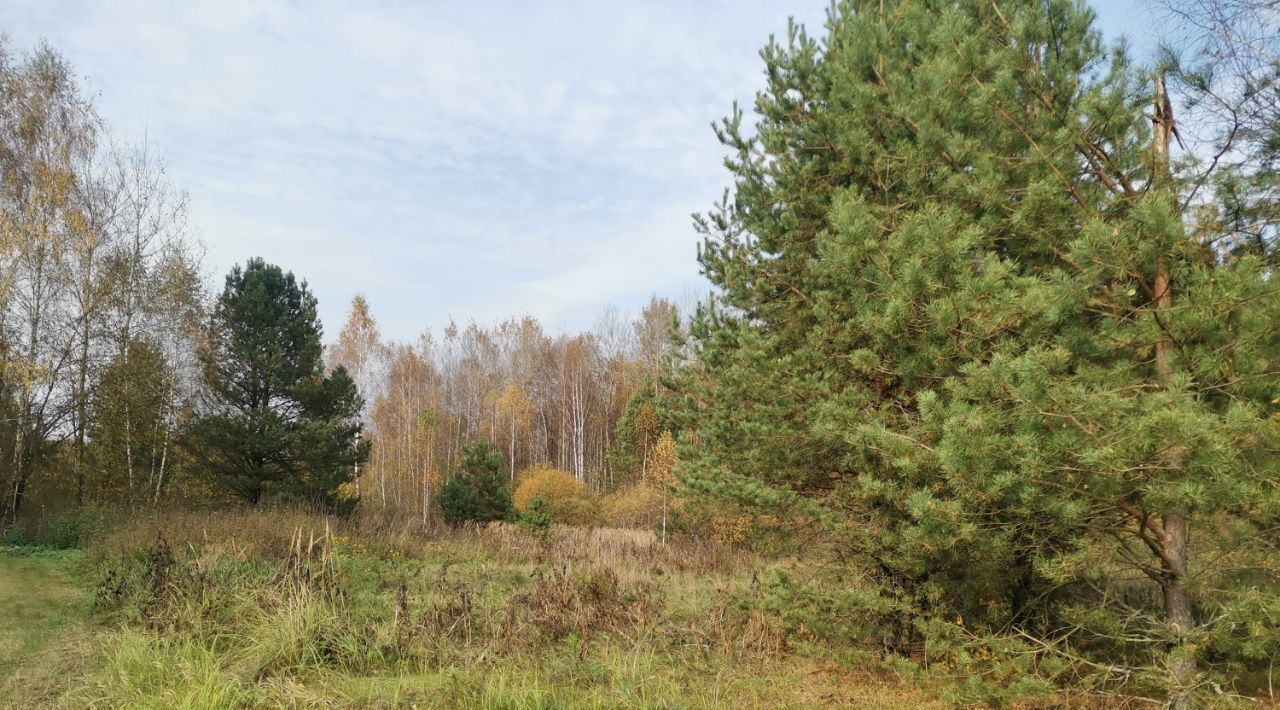 земля городской округ Орехово-Зуевский д Молоково фото 1