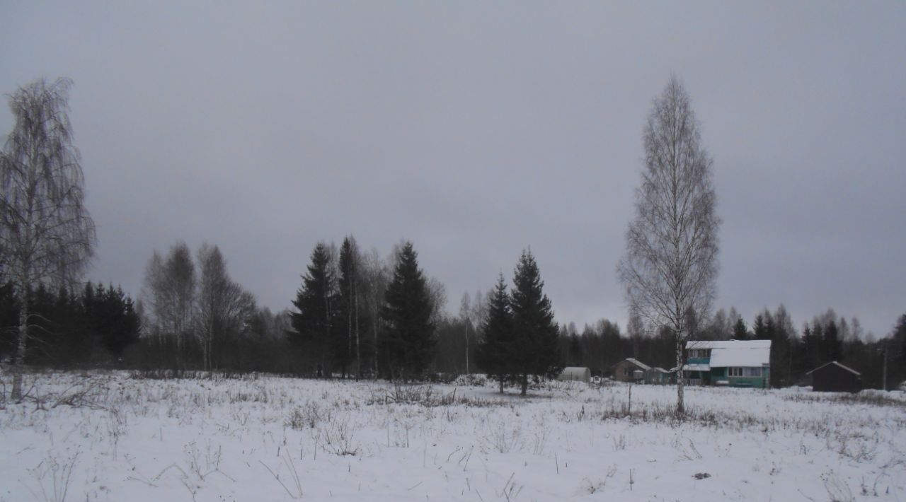 земля городской округ Шаховская д Высоково ул Центральная фото 1