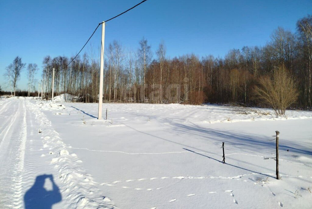 земля Заневское городское поселение, Ладожская, коттеджный посёлок Терра Парк фото 2