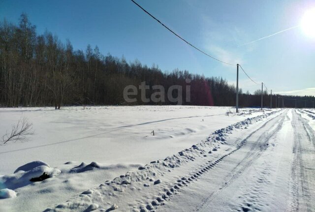 Заневское городское поселение, Ладожская, коттеджный посёлок Терра Парк фото