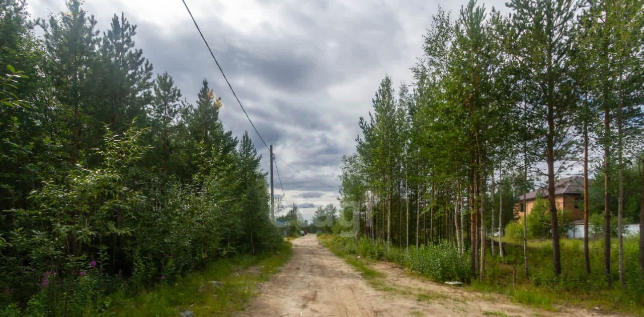 земля г Сургут тер СОТ-57 Лето фото 3